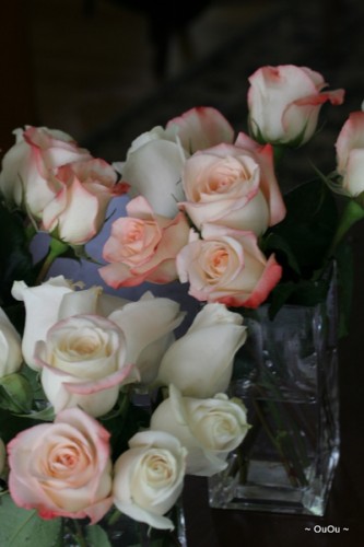 IMG_7400 IMG_7400