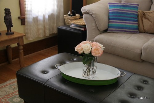 IMG_7667 IMG_7667