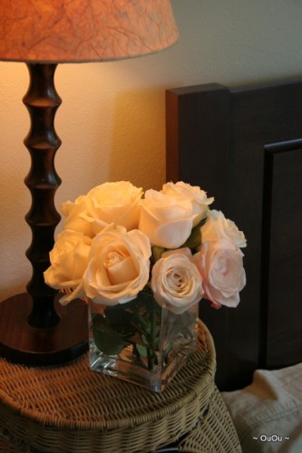 IMG_7671 IMG_7671