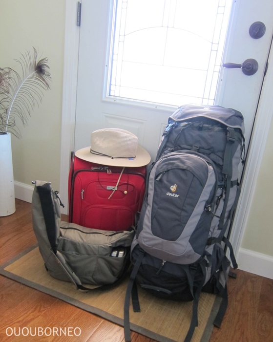Backpack, carry-on + a camera/handbag