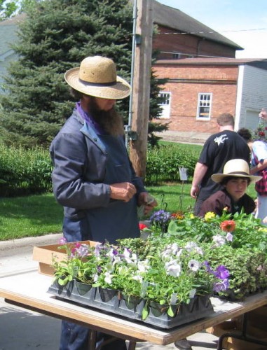 Flowers from Amish Family