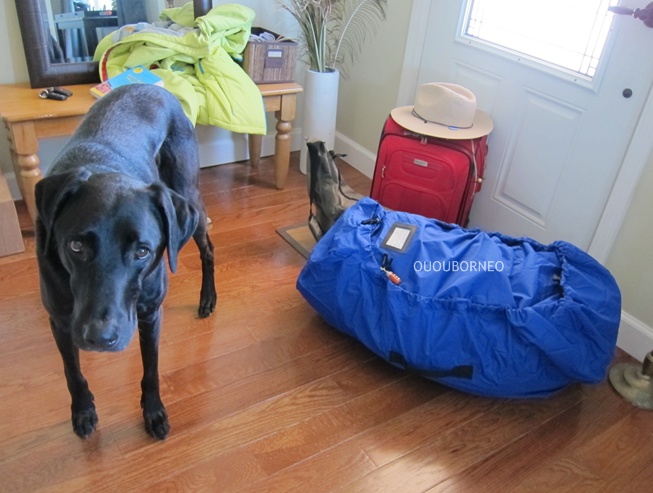 Kai with my bags. Either he is a giant or my bags are not that big!