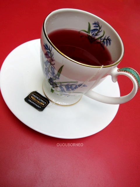 Patagonia berry tea