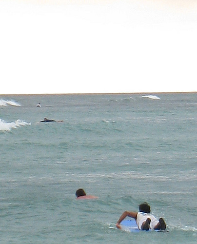 Surf Class