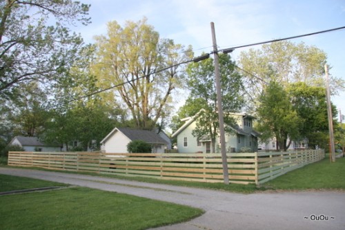 after: back yard